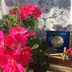 Apartmán W Jurgowie Swistokowka